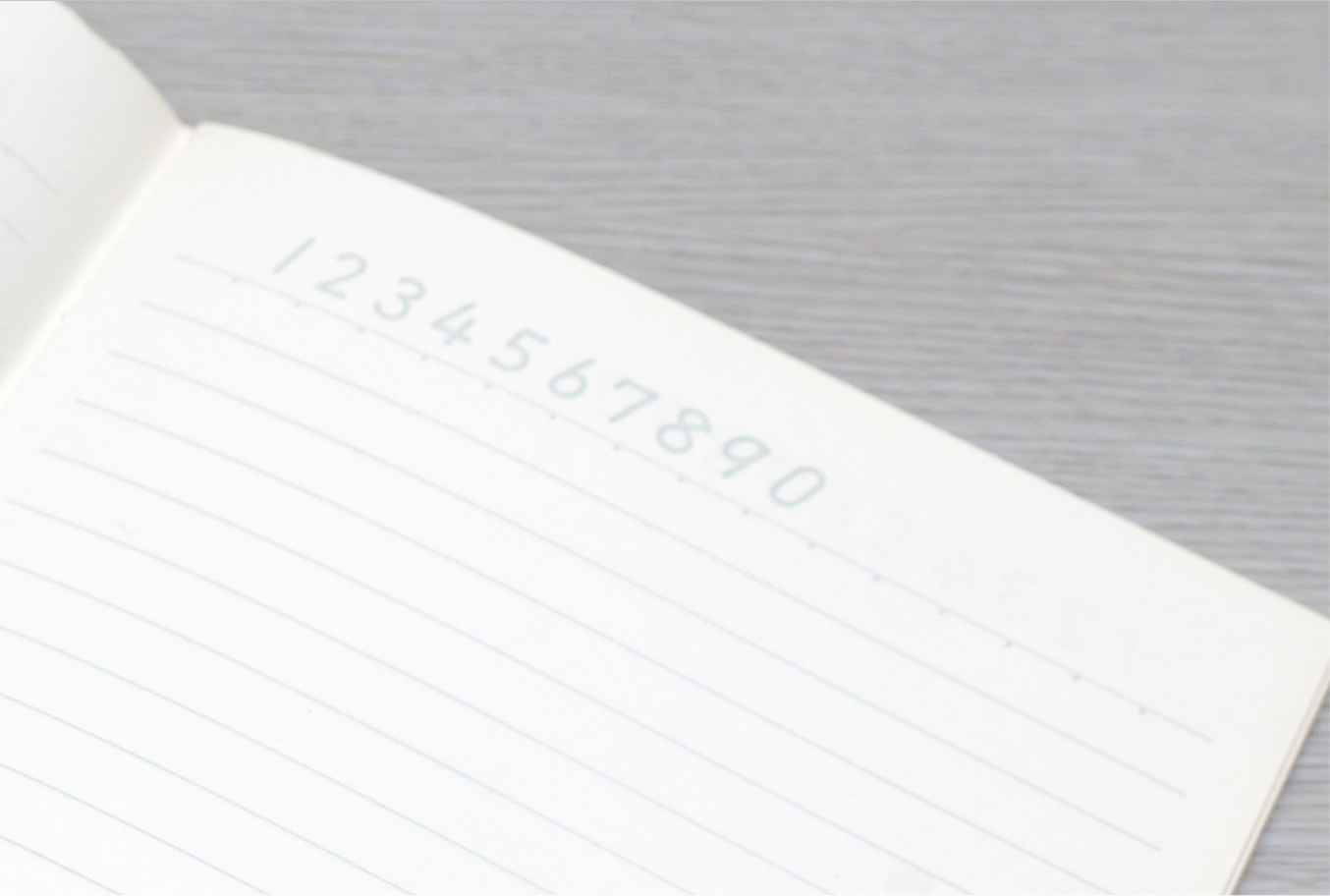 「図かん学習帳」のイメージ写真（中身）