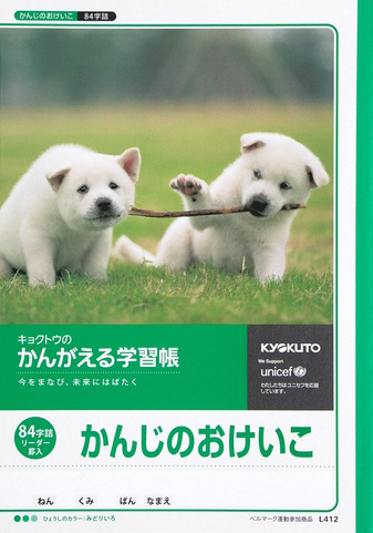 かんがえる学習帳 かんじのおけいこ＆かんじれんしゅう＆漢字練習 セミB5 かんじ 84字のイメージ画像