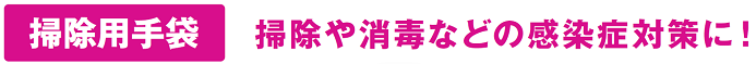 202011ショーワグローブ