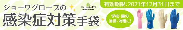 202011ショーワグローブ